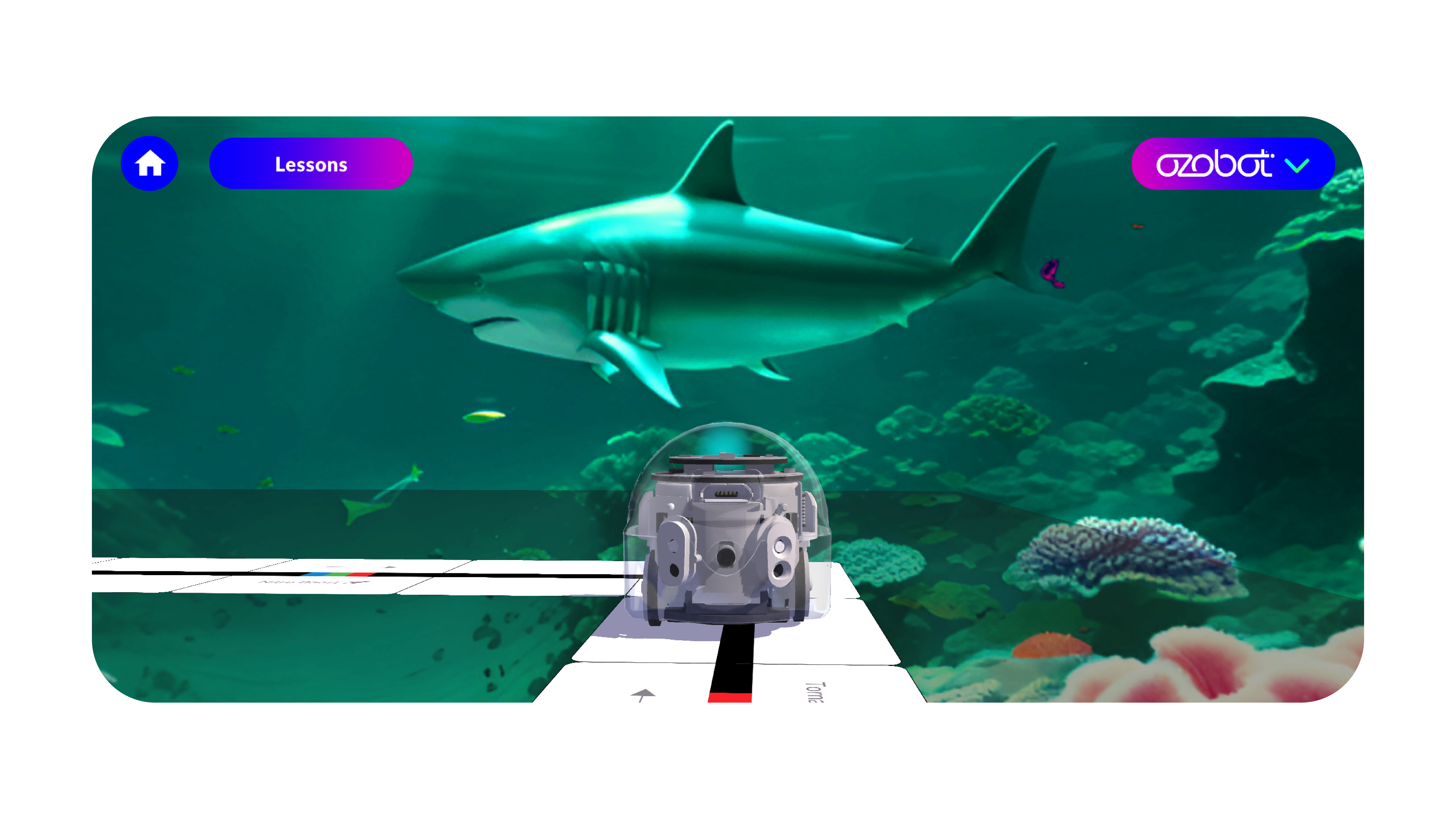 Evo running a track live inside the Deep Diving background, a shark overhead